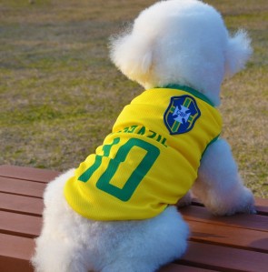 copa-do-mundo-de-2014-veste-roupas-pet-roupas-para-cães-roupas-engraçadas-pet-brasil-roupas